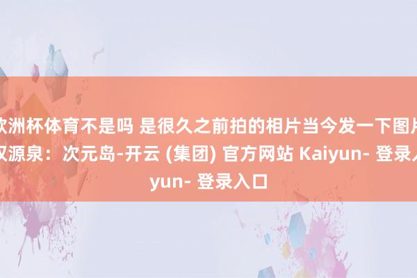 欧洲杯体育不是吗 是很久之前拍的相片当今发一下图片授权源泉：次元岛-开云 (集团) 官方网站 Kaiyun- 登录入口
