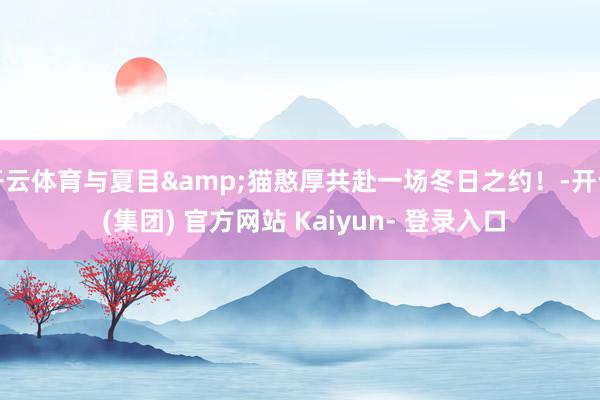 开云体育与夏目&猫憨厚共赴一场冬日之约！-开云 (集团) 官方网站 Kaiyun- 登录入口