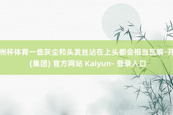 欧洲杯体育一些灰尘和头发丝沾在上头都会相当瓦解-开云 (集团) 官方网站 Kaiyun- 登录入口