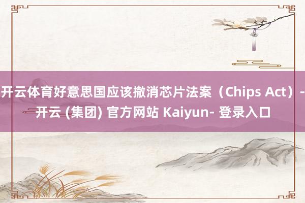 开云体育好意思国应该撤消芯片法案（Chips Act）-开云 (集团) 官方网站 Kaiyun- 登录入口